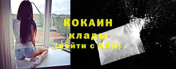 шишки Белоозёрский