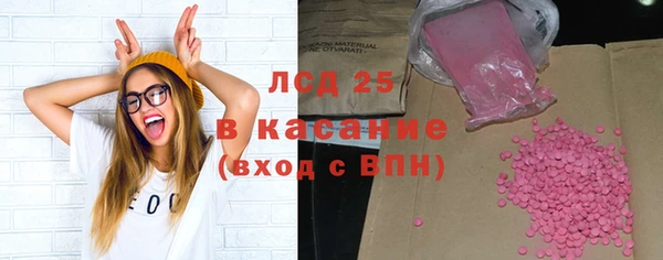 шишки Белоозёрский