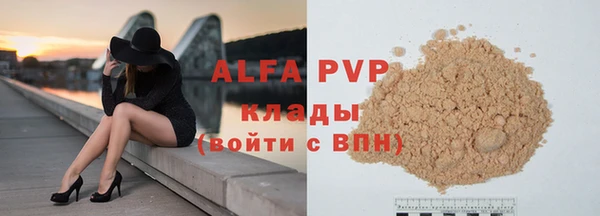 шишки Белоозёрский