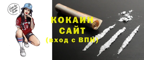 шишки Белоозёрский
