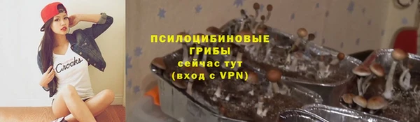 мяу мяу мука Богданович
