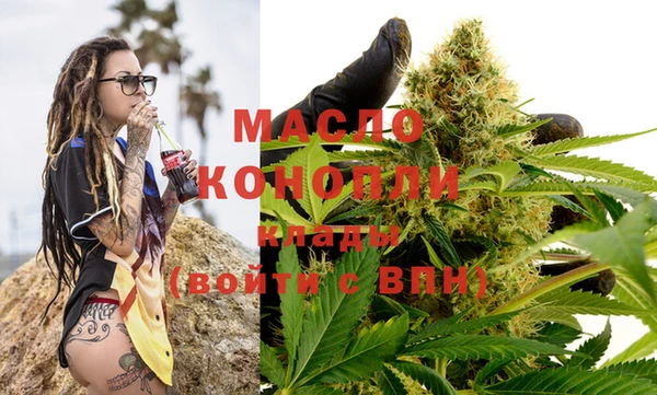 стаф Бородино