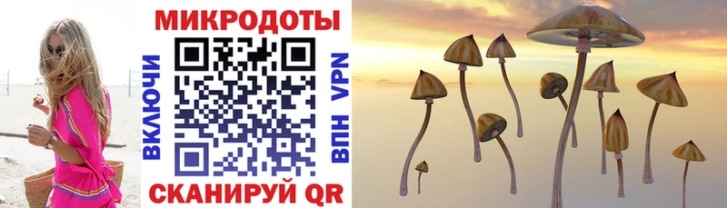 Галлюциногенные грибы MAGIC MUSHROOMS  купить наркотик  omg зеркало  Белёв 